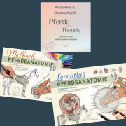Vertiefungspaket: Das Komplettpaket für Anatomie-Lernen mit Tiefe