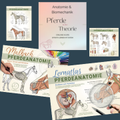 Profipaket: Anatomie lernen mit System – visuell, tiefgreifend, ganzheitlich