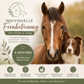4 Wochen Fernbetreuung – Individuelle Tierbegleitung