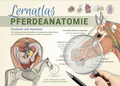 Anatomieatlas Pferd