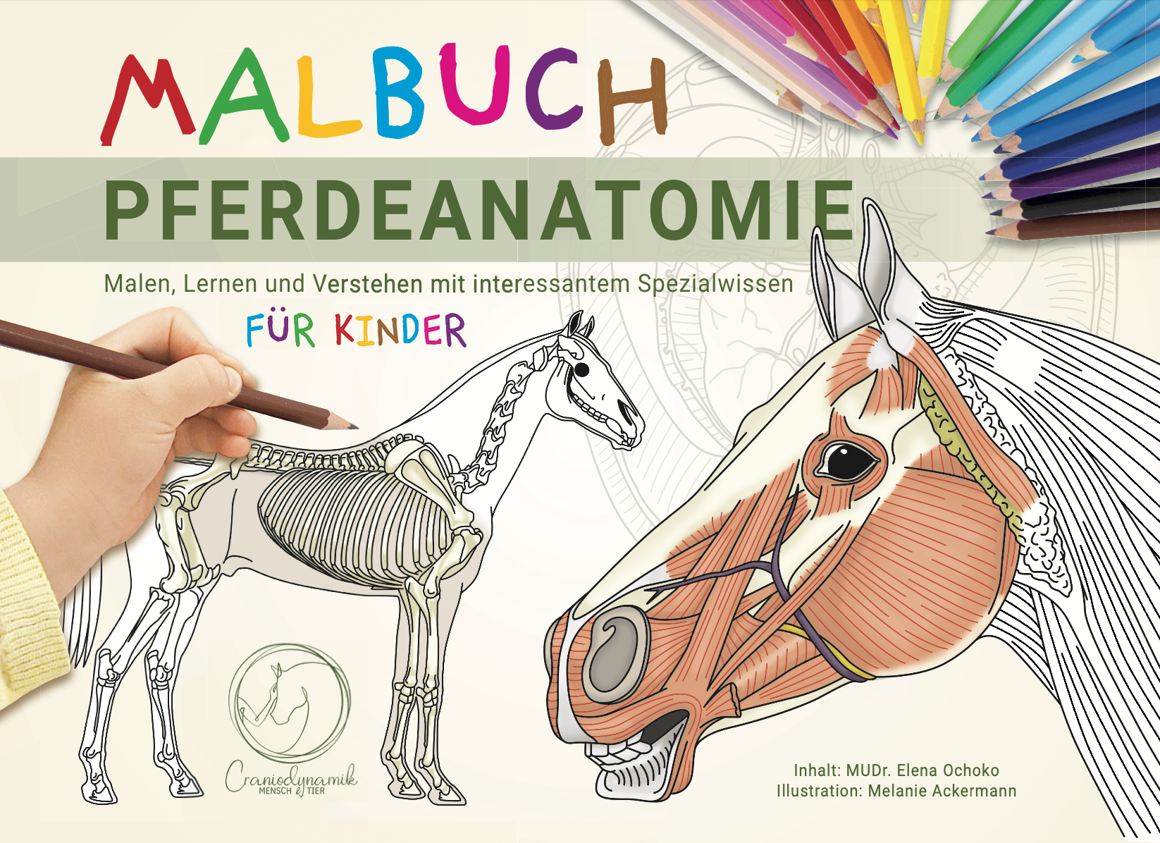 Kindermalbuch Pferdeanatomie