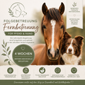Fernbetreuung verlängern – weitere 4 Wochen